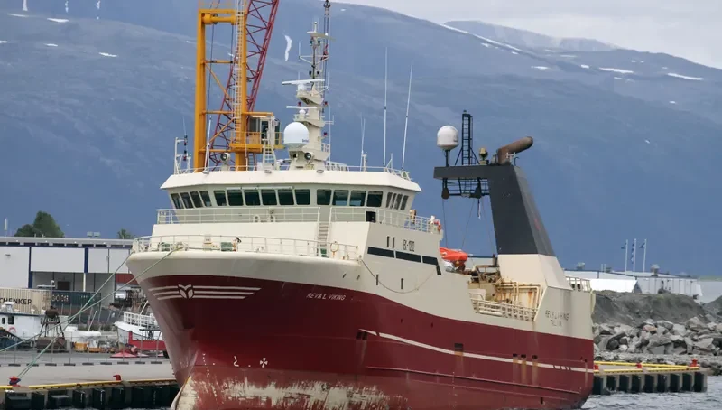 REVAL VIKING General Cargo IMO 9211030 photo 5
