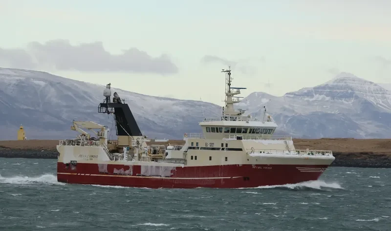 REVAL VIKING General Cargo IMO 9211030 photo 7