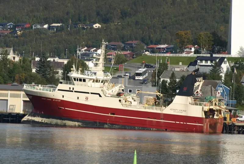 REVAL VIKING General Cargo IMO 9211030 photo 9