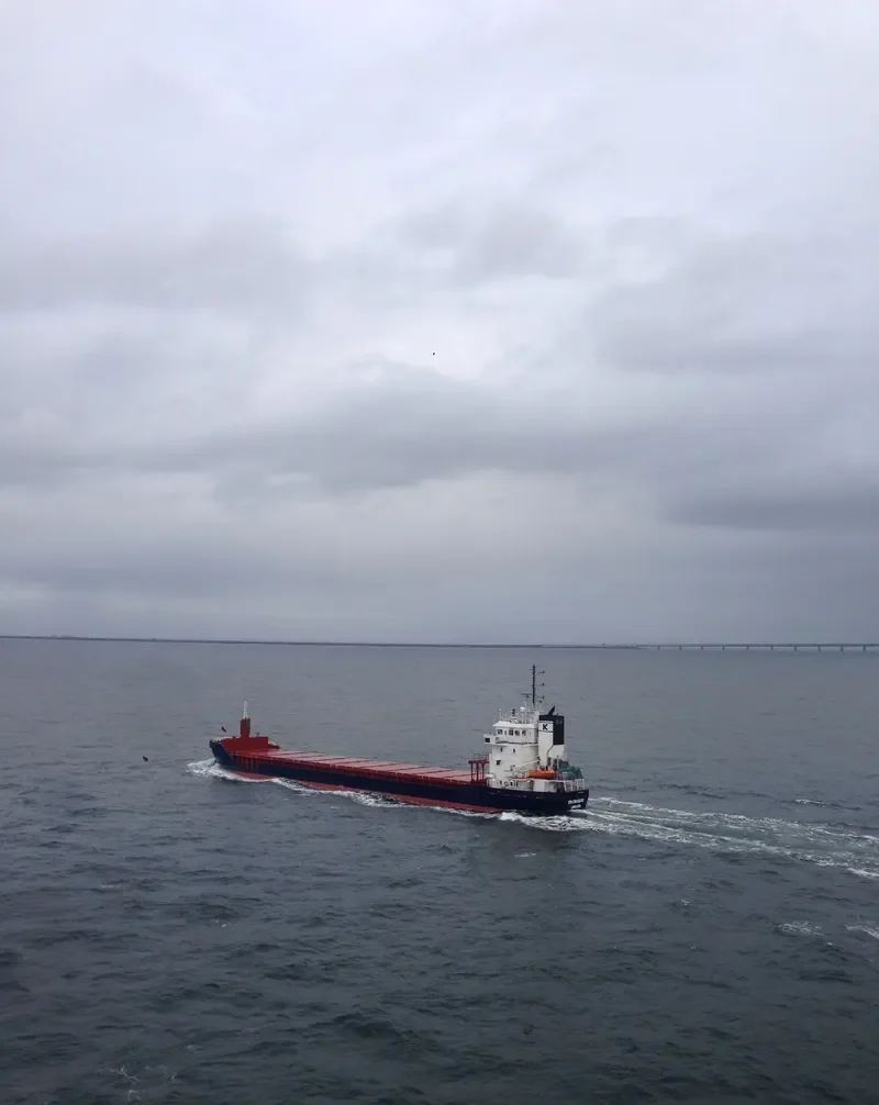 FRI KARMSUND Container Ship IMO 9211066 photo 3