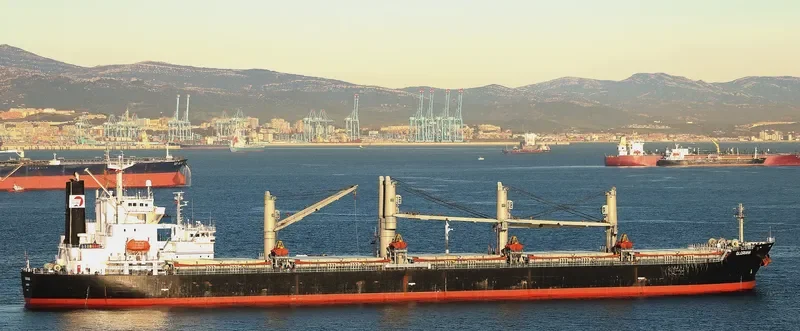 ZHONG ZHE 7 Bulk Carrier IMO 9211121