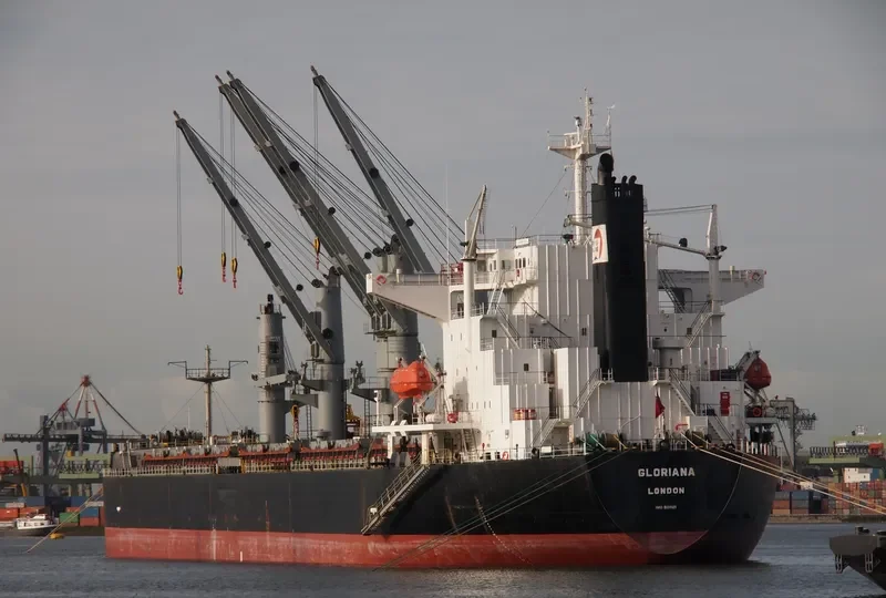 ZHONG ZHE 7 Bulk Carrier IMO 9211121 photo 2