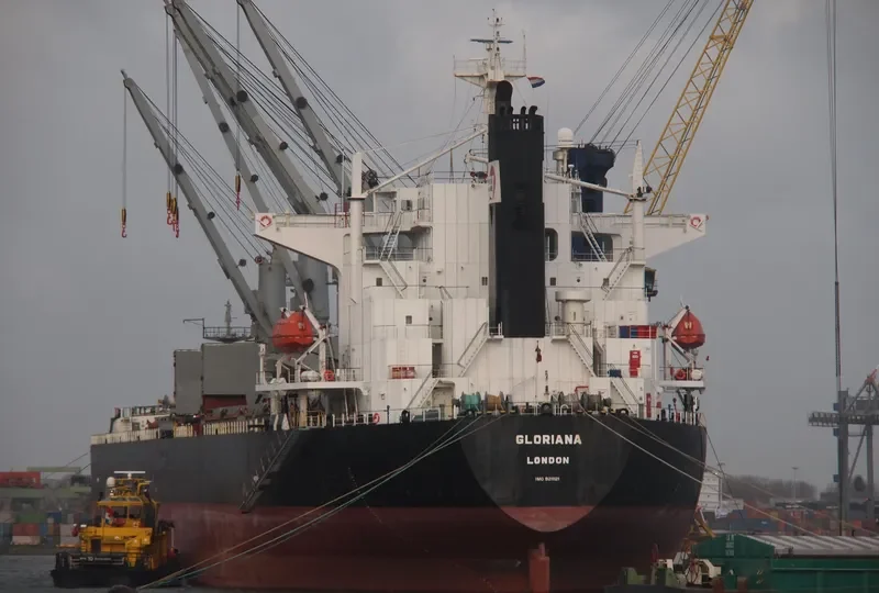 ZHONG ZHE 7 Bulk Carrier IMO 9211121 photo 3