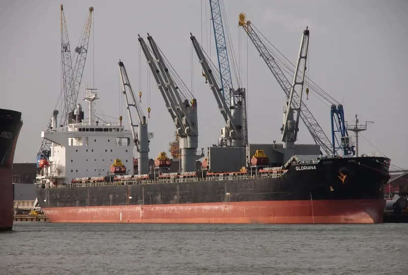 ZHONG ZHE 7 Bulk Carrier IMO 9211121 photo 5