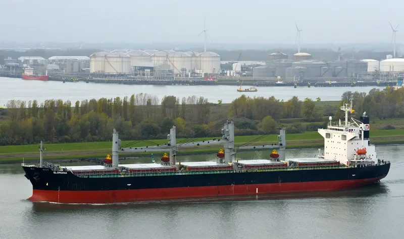 ZHONG ZHE 7 Bulk Carrier IMO 9211121 photo 8