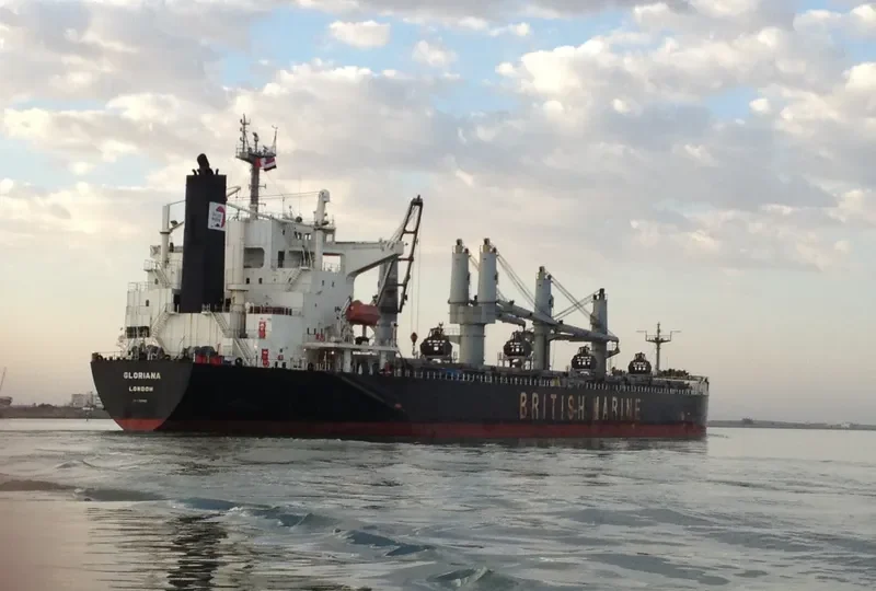 ZHONG ZHE 7 Bulk Carrier IMO 9211121 photo 9