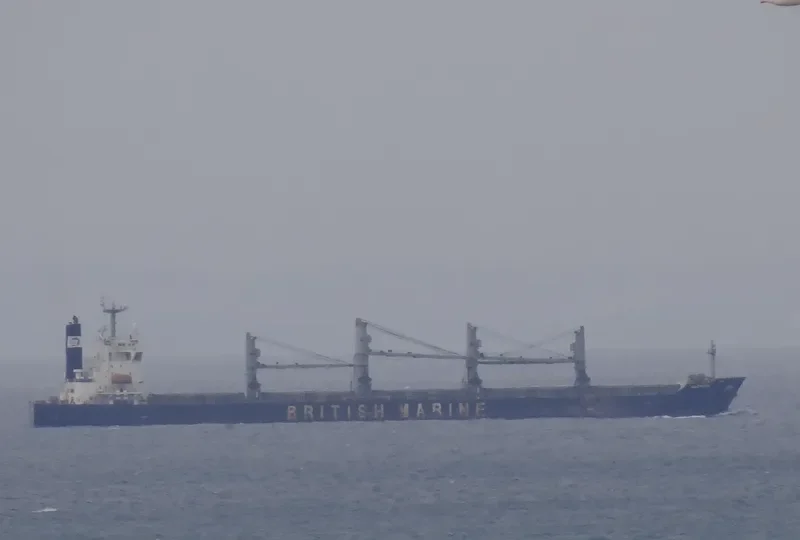ZHONG ZHE 7 Bulk Carrier IMO 9211121 photo 10