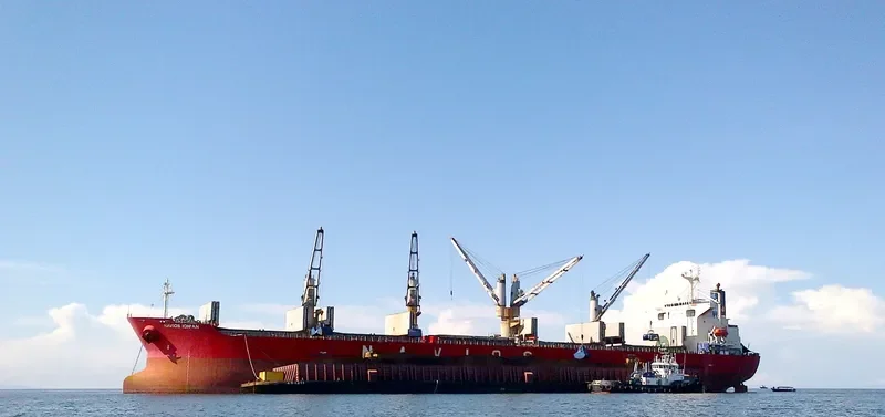 JIN NING 16 Bulk Carrier IMO 9211133 photo 4
