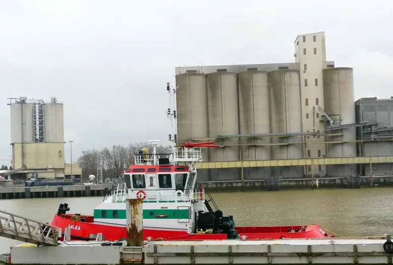 BALEA General Cargo IMO 9211432