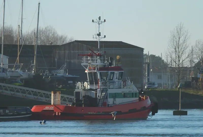 BALEA General Cargo IMO 9211432 photo 4