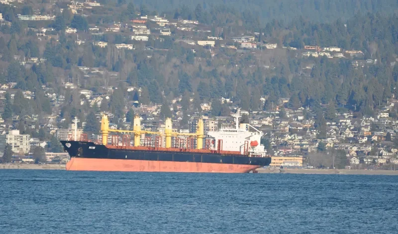 ZULFIKAR Bulk Carrier IMO 9211547 photo 6