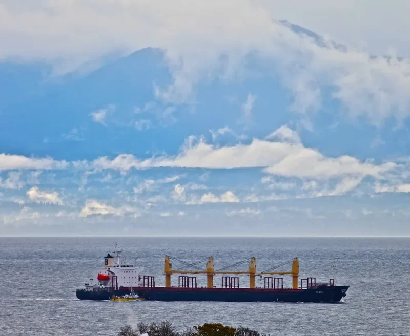 ZULFIKAR Bulk Carrier IMO 9211547 photo 10