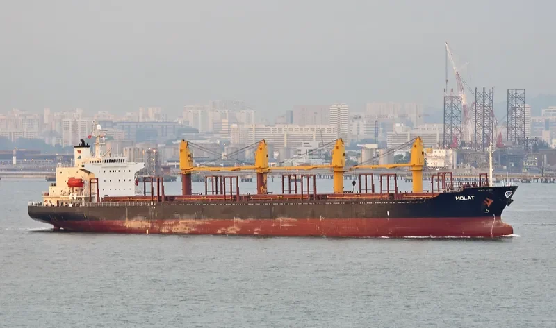 GOLDEN LOTUS Bulk Carrier IMO 9211559 photo 3