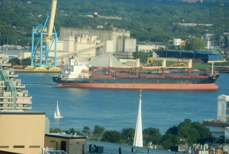GOLDEN LOTUS Bulk Carrier IMO 9211559 photo 6