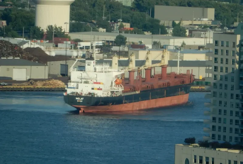 GOLDEN LOTUS Bulk Carrier IMO 9211559 photo 7