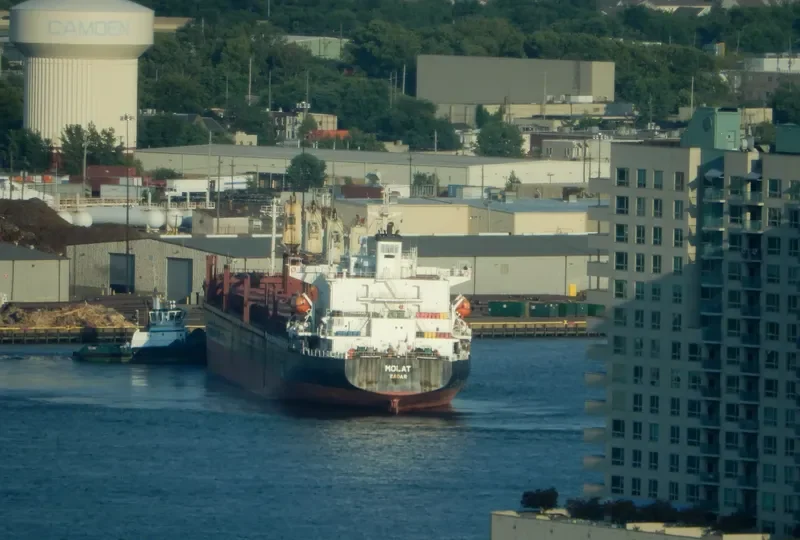 GOLDEN LOTUS Bulk Carrier IMO 9211559 photo 8