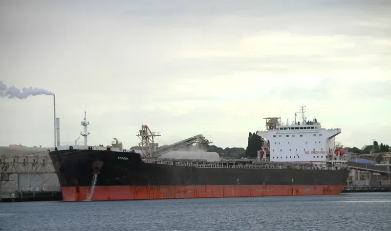 TOPEKA Bulk Carrier IMO 9211585 photo 2