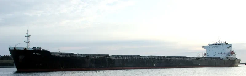 TOPEKA Bulk Carrier IMO 9211585 photo 3