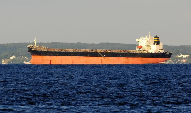 TOPEKA Bulk Carrier IMO 9211585 photo 7
