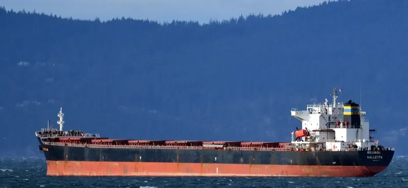 BEI LUN HAI 17 Bulk Carrier IMO 9211597