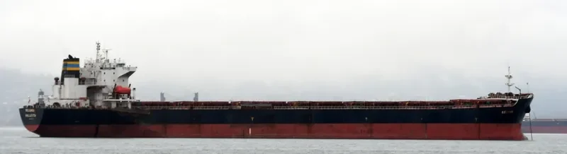 BEI LUN HAI 17 Bulk Carrier IMO 9211597 photo 3