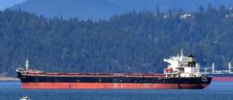 BEI LUN HAI 17 Bulk Carrier IMO 9211597 photo 5