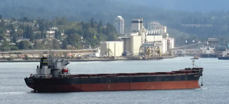 BEI LUN HAI 17 Bulk Carrier IMO 9211597 photo 8