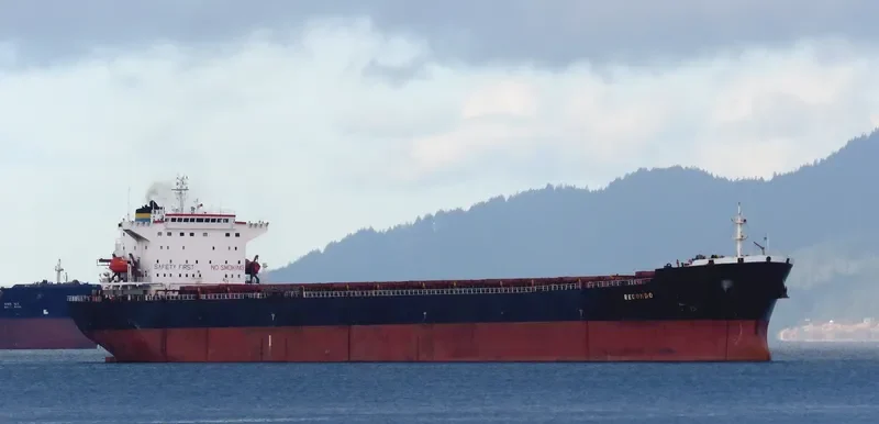 BEI LUN HAI 17 Bulk Carrier IMO 9211597 photo 9