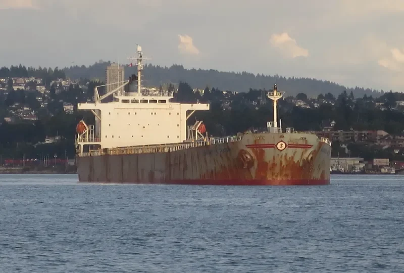 XIN YUAN CHUN Bulk Carrier IMO 9211602 photo 3