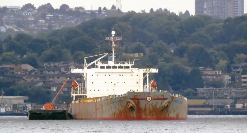XIN YUAN CHUN Bulk Carrier IMO 9211602 photo 4