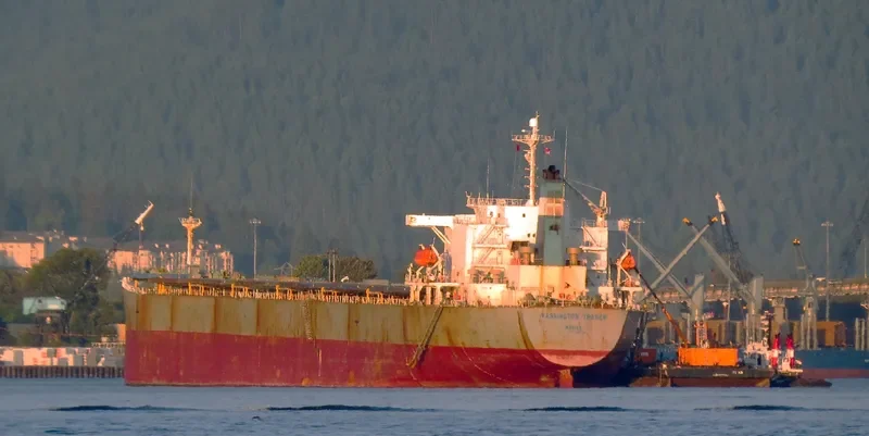 XIN YUAN CHUN Bulk Carrier IMO 9211602 photo 7