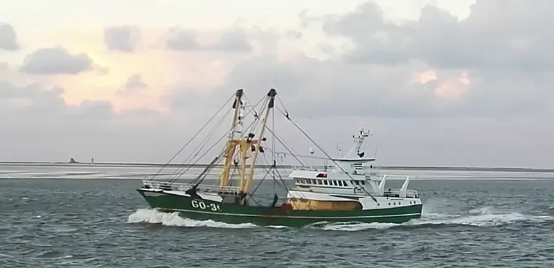 MORGENSTER General Cargo IMO 9211640 photo 2