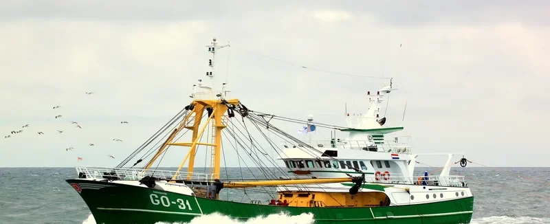 MORGENSTER General Cargo IMO 9211640 photo 10