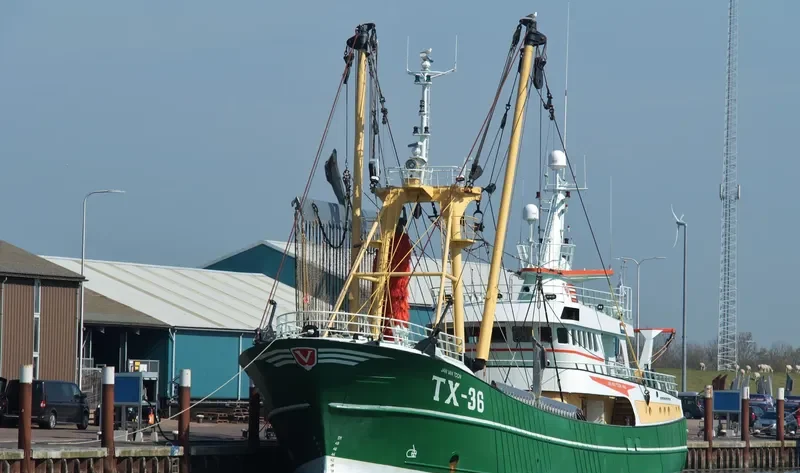 JAN VAN TOON General Cargo IMO 9211652 photo 7