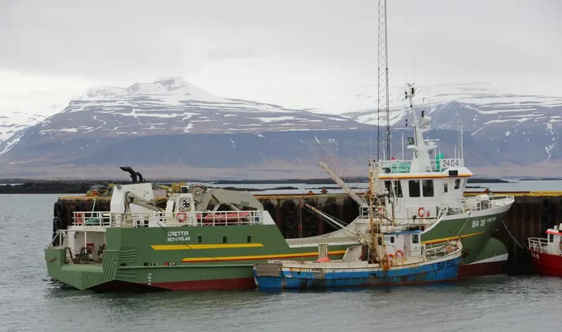 GRETTIR General Cargo IMO 9211731 photo 2
