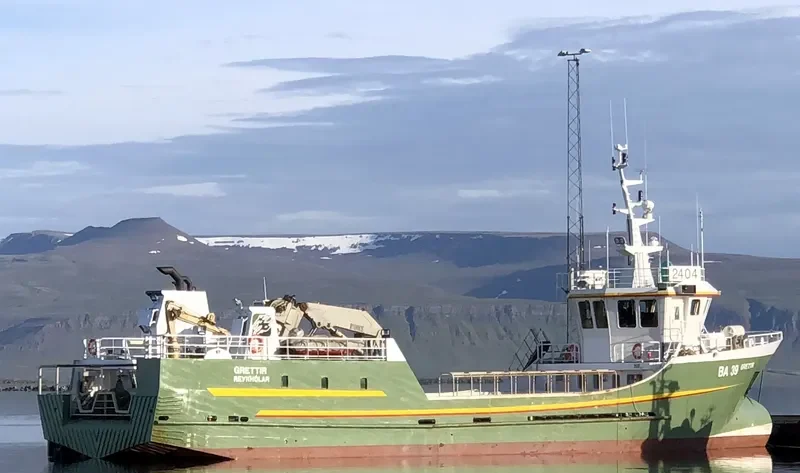 GRETTIR General Cargo IMO 9211731 photo 4