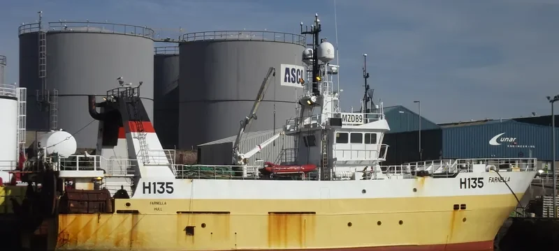 FARNELLA General Cargo IMO 9211808 photo 5