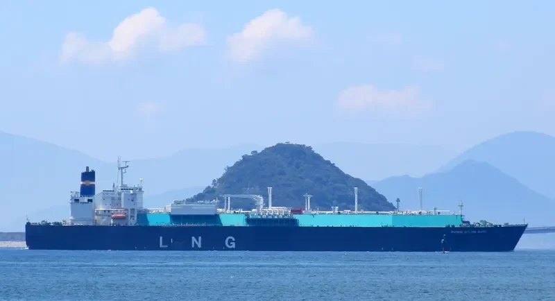 PUTERI DELIMA SATU General Cargo IMO 9211872 photo 8