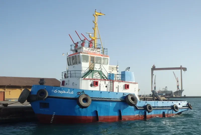 THANAA HAMDY 2 General Cargo IMO 9211963