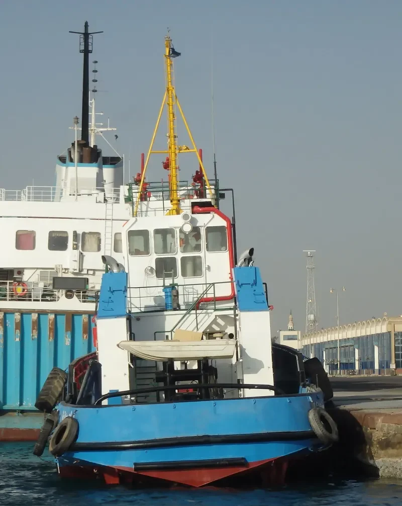 THANAA HAMDY 2 General Cargo IMO 9211963 photo 2