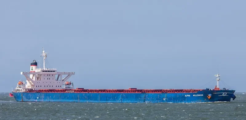 ALPHA MILLENNIUM Bulk Carrier IMO 9212058 photo 2