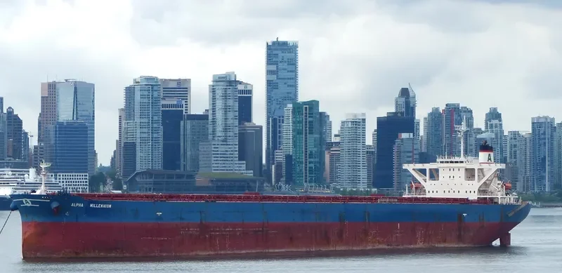 ALPHA MILLENNIUM Bulk Carrier IMO 9212058 photo 6