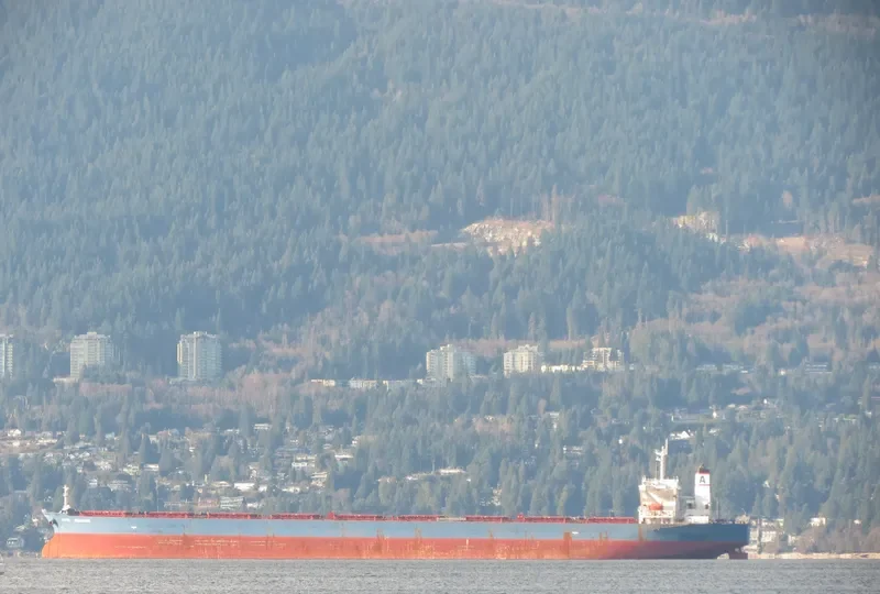 ALPHA MILLENNIUM Bulk Carrier IMO 9212058 photo 9