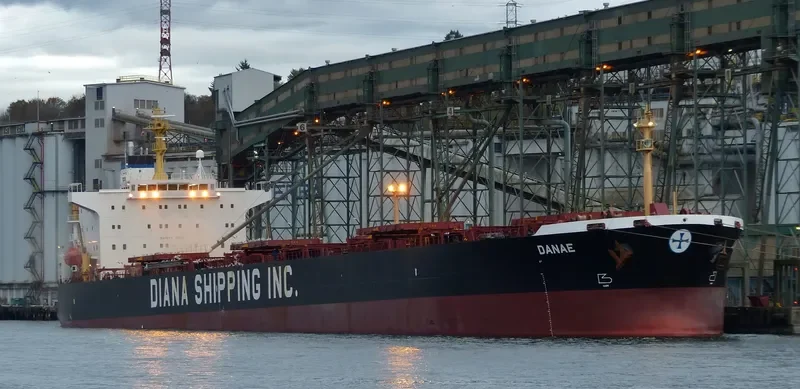 ELIM HOPE Bulk Carrier IMO 9212125 photo 2