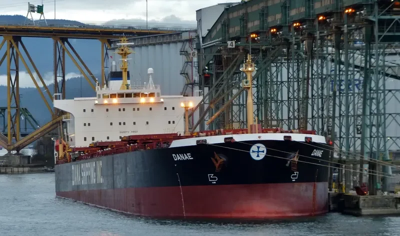 ELIM HOPE Bulk Carrier IMO 9212125 photo 3