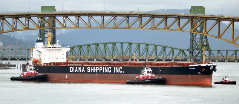 ELIM HOPE Bulk Carrier IMO 9212125 photo 4