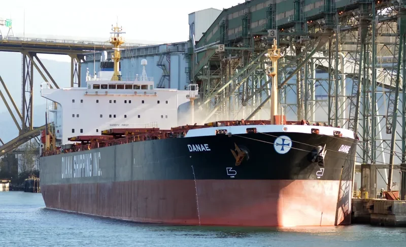 ELIM HOPE Bulk Carrier IMO 9212125 photo 7