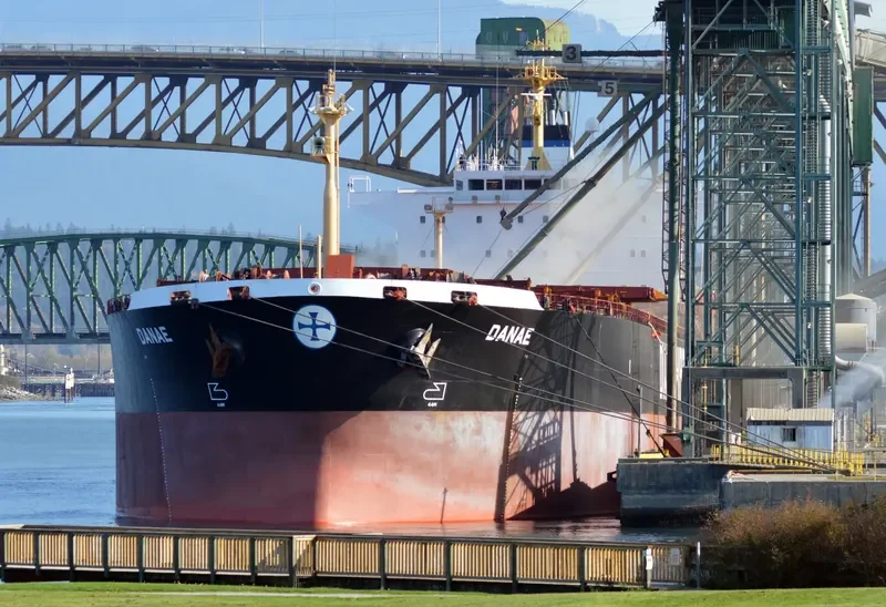 ELIM HOPE Bulk Carrier IMO 9212125 photo 8