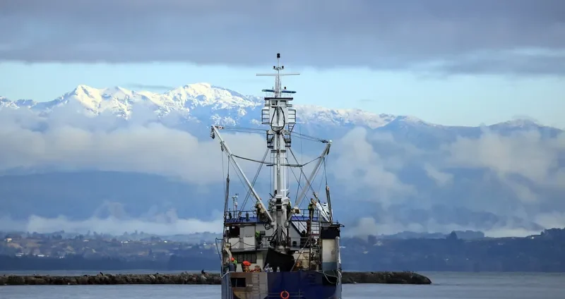 SOLOMON EMERALD General Cargo IMO 9212292 photo 6