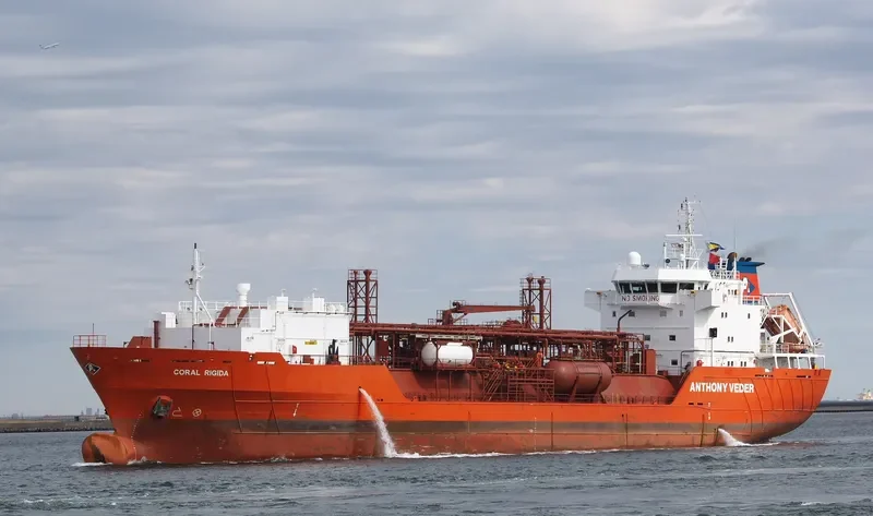 CORAL RIGIDA General Cargo IMO 9212577 photo 4